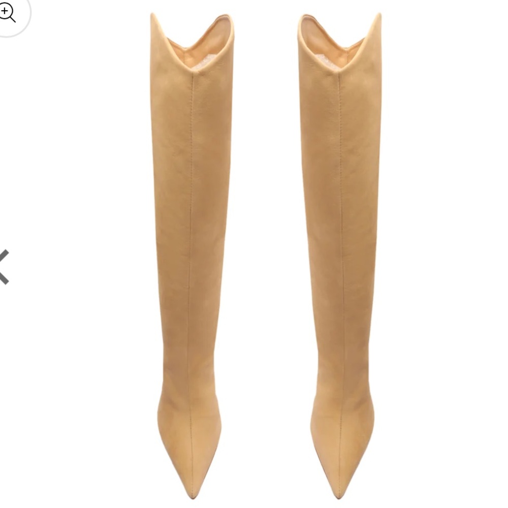 SCHUTZ Tall Pointed-Toe Knee-High Boots in Beige